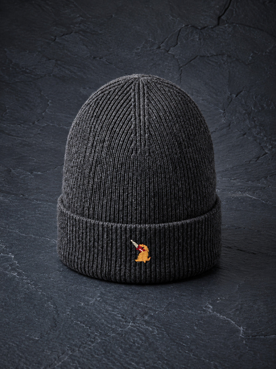 A ribbed beanie in charcoal standing on dark slate, the embroidered bird on the turn-up.